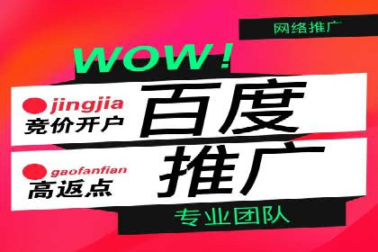 SEM百度竞价案例：如何实现快速引流